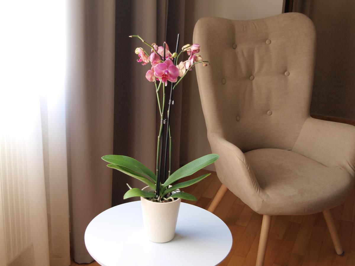 King Lodge Athena Bagian luar foto
